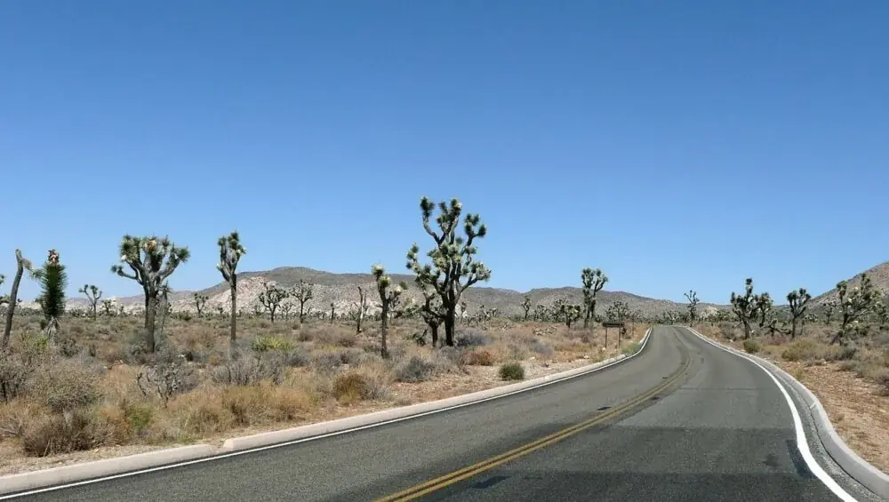 Joshua Tree Nationalpark