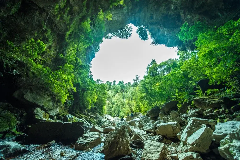Kahurangi National Park – ein unberührtes Naturparadies in Neuseeland