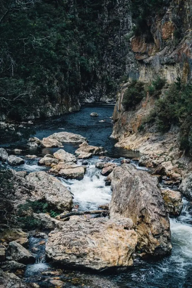 Karangahake-Schlucht: Ein unvergessliches Erlebnis in Neuseeland