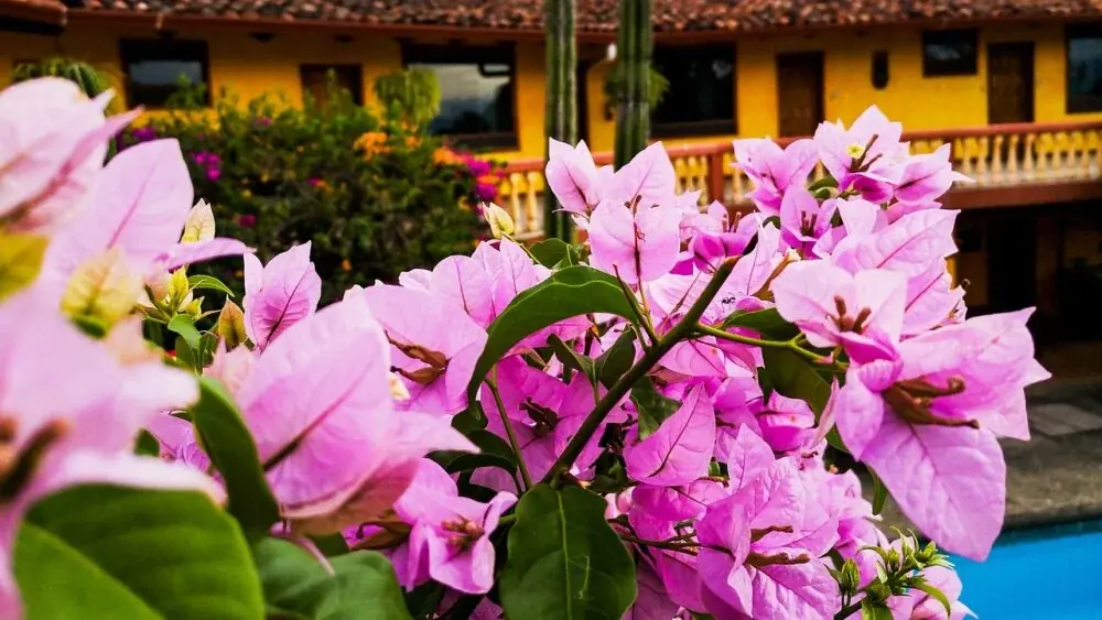 Santa Ana (Kalifornien) als Reiseziel
