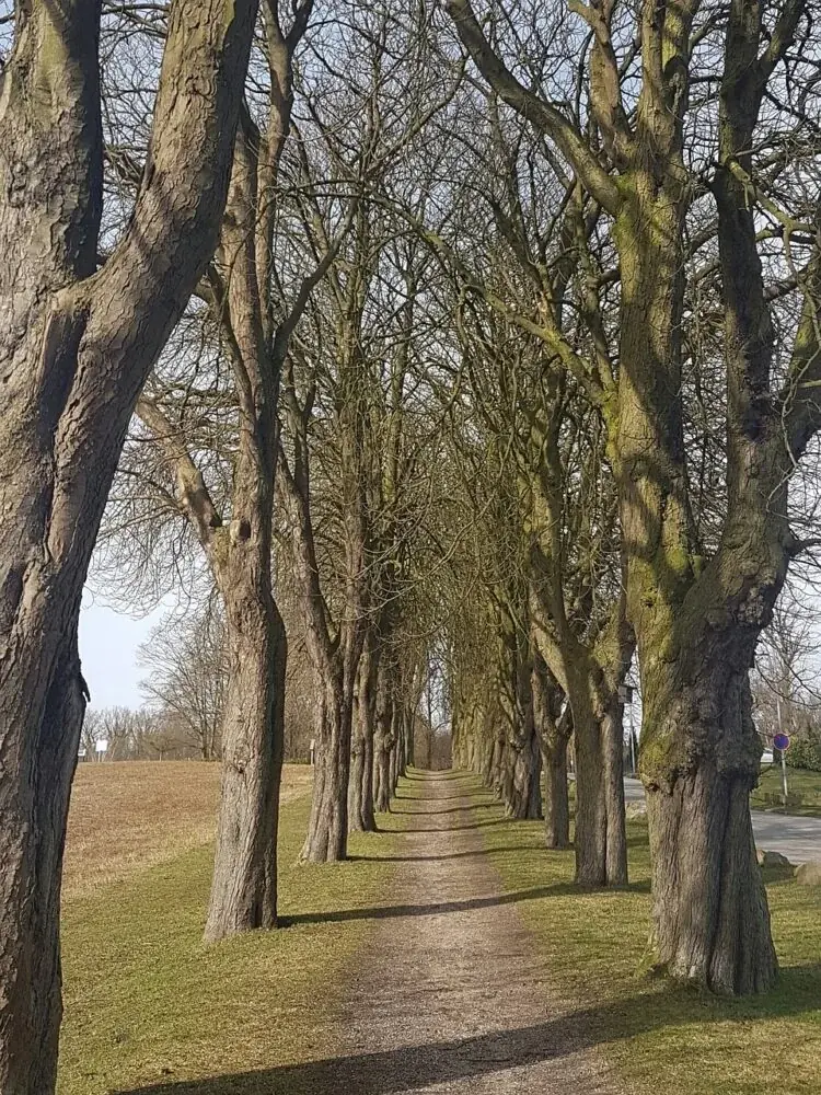Sierksdorf - Heimat des Hansa-Park an der Lübecker Bucht
