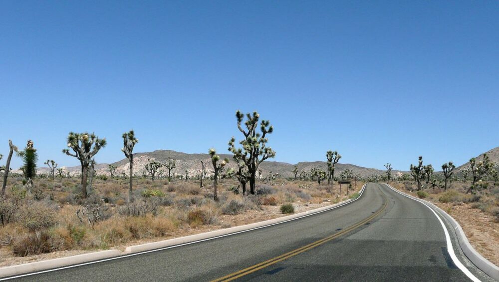 Joshua Tree Nationalpark