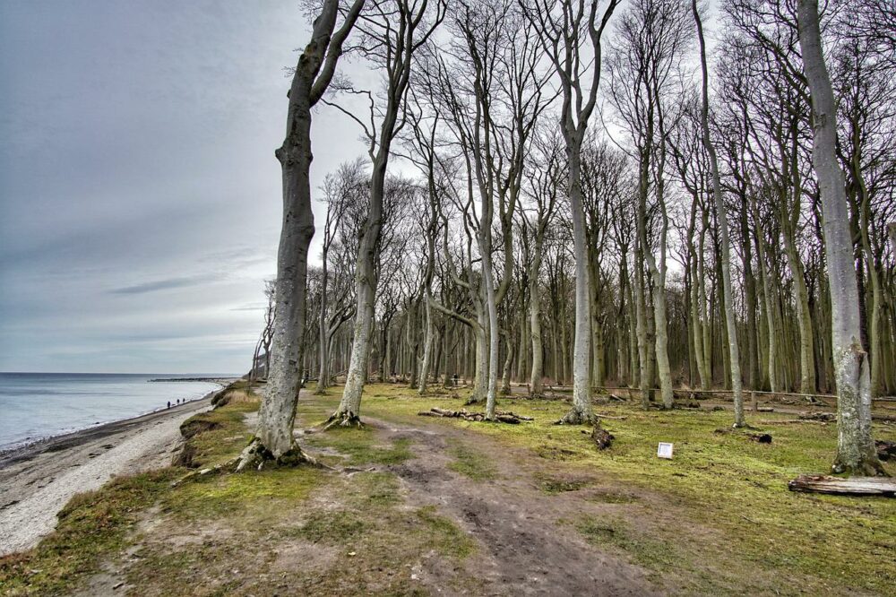 Nienhagen