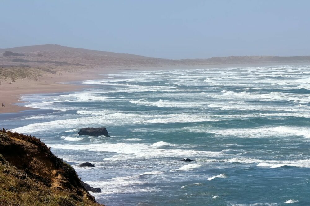 sonoma coast