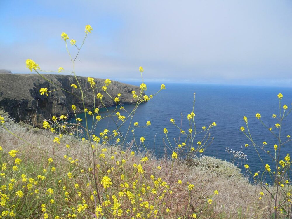 Channel Islands Nationalpark