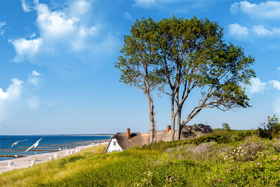 Ferienhaus an der Ostsee