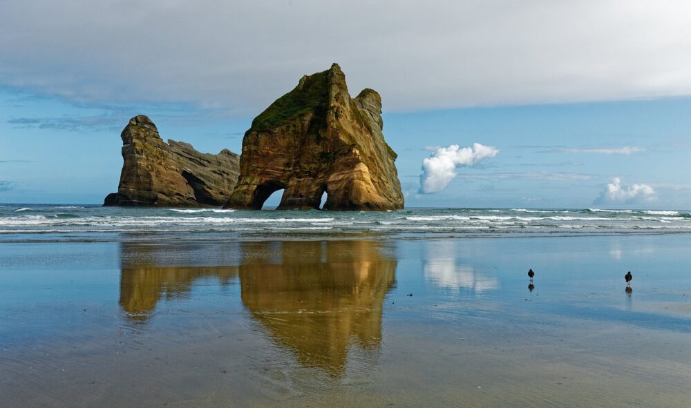 new zealand, beach, rocks