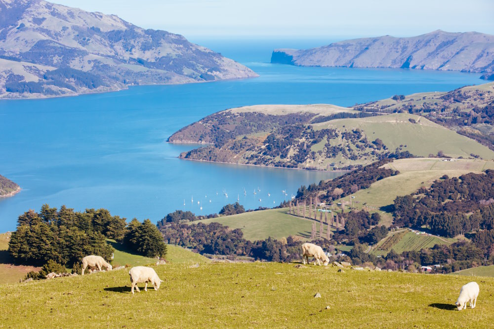 Banks Halbinsel Neuseeland