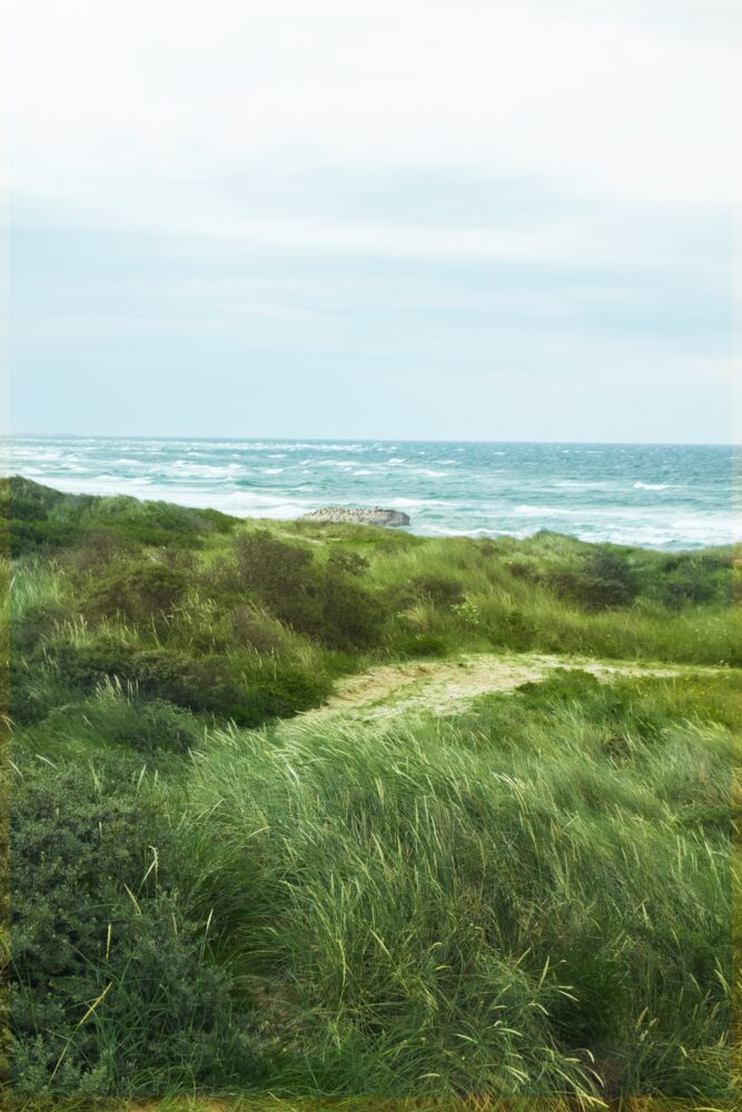 Dünen in Dänemark