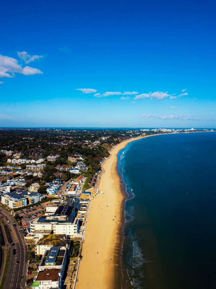 aerial view of city buildings near sea during daytime