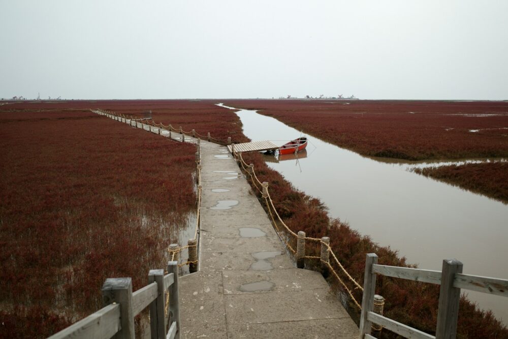 a path leading to a boat tied to a dock