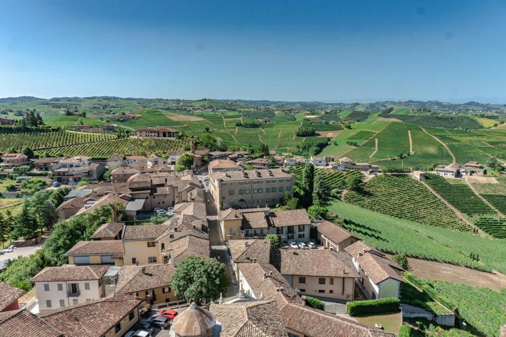 a town with many buildings and trees