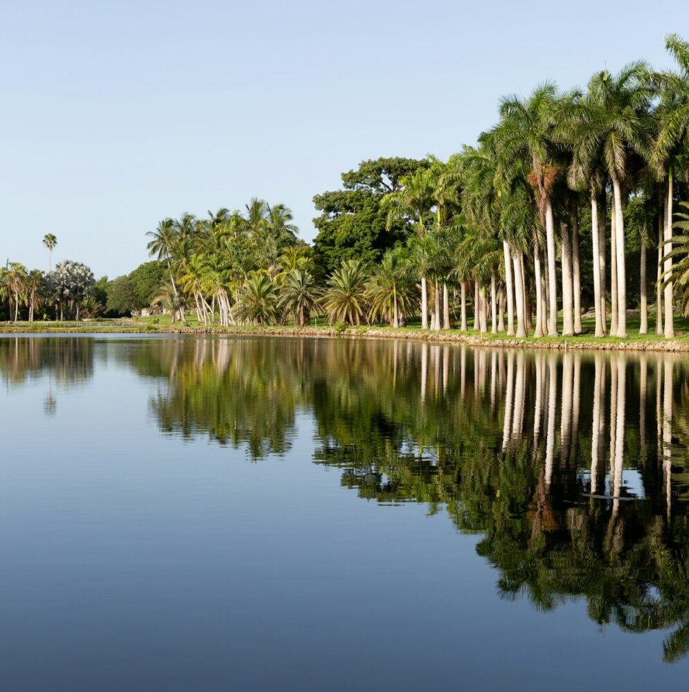 green trees beside lake under blue sky during daytime