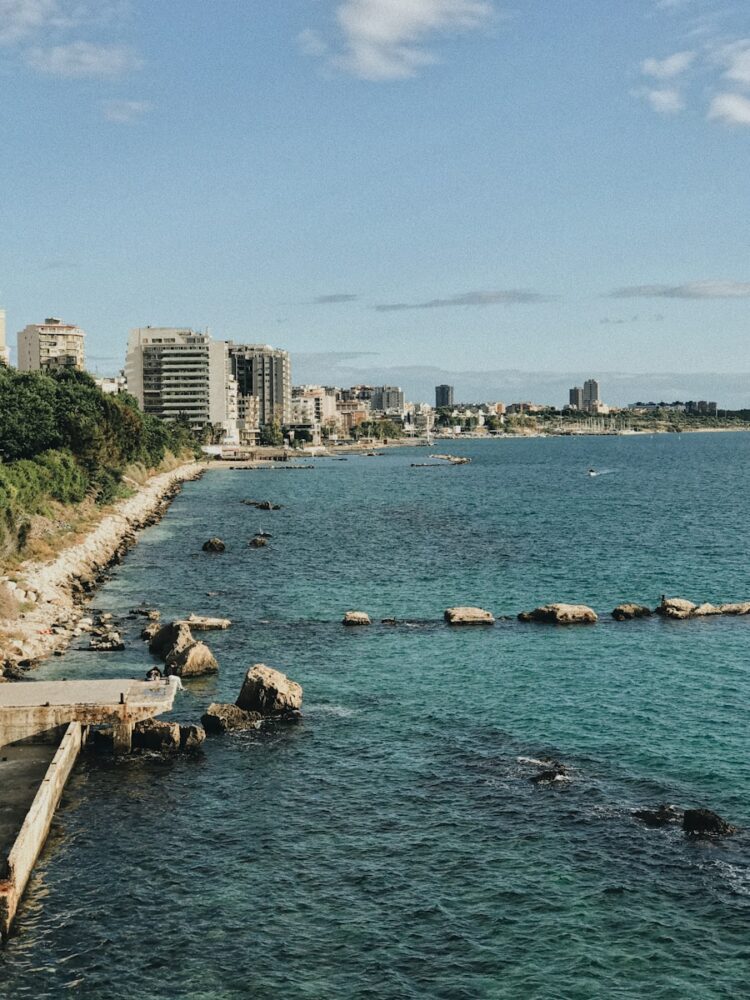 people on beach during daytime