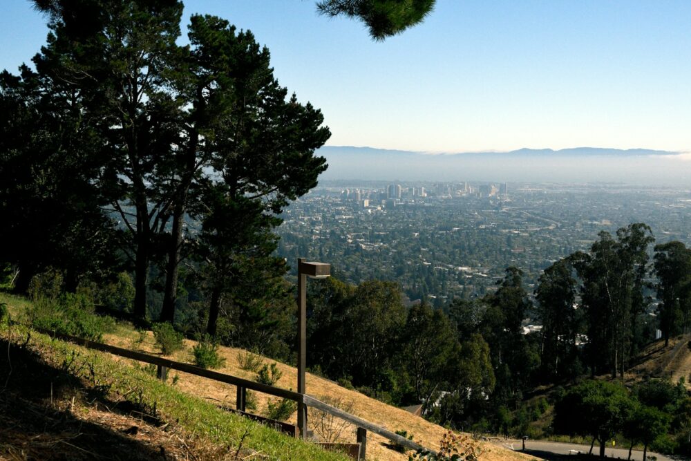 green trees on mountain during daytime