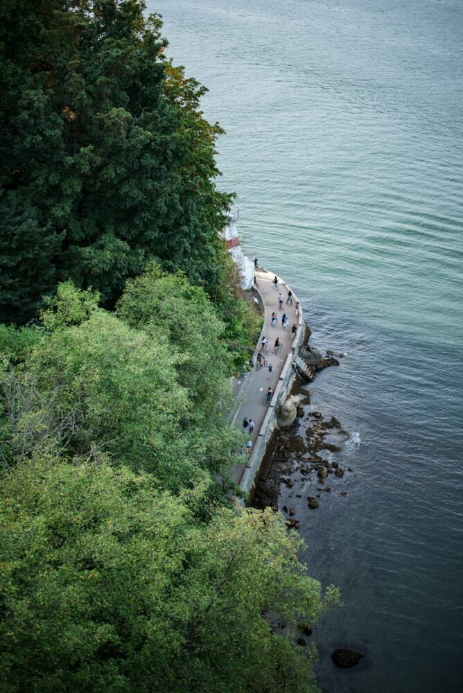 aerial view of road between body of water and trees