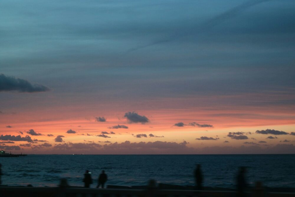 silhouette of people on beach during sunset