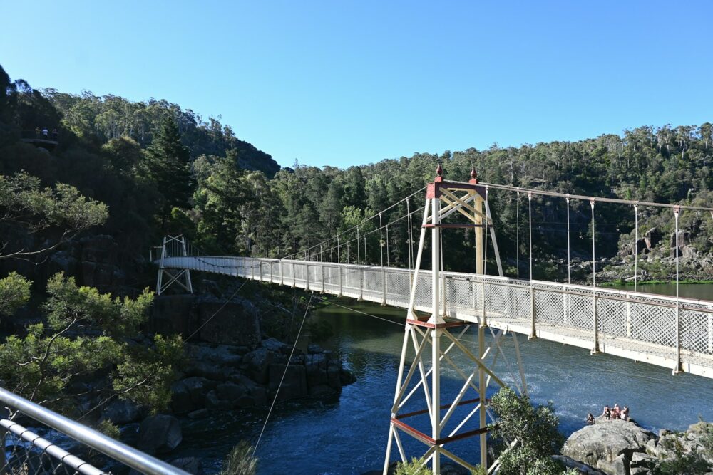 a tall bridge over a river next to a forest